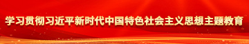 男操女啊啊啊学习贯彻习近平新时代中国特色社会主义思想主题教育
